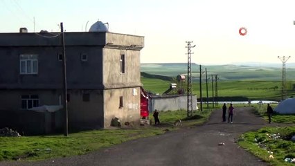 Ailelerin 'arı kovanı' kavgasında kan aktı: 1 ölü, 5 yaralı