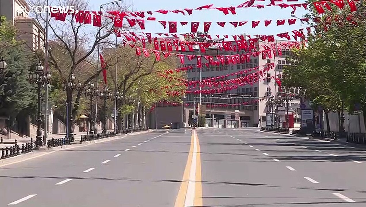 Dolphins take advantage of Turkey's lockdown to explore Istanbul's Bosphorus