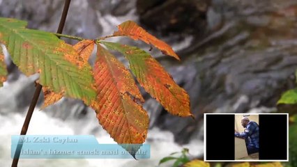 Allah cc Yolunda Hizmet  - M. Zeki Ceylan