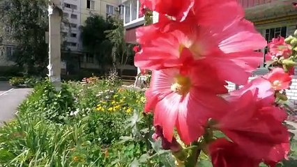 Sahri Ke Baad Ka Wazifa - Sahri Ka Wazifa - Ramzan Wazifa -  Wazifa