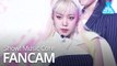 [예능연구소 직캠] Apink – Dumhdurum (KIM NAM JOO), 에이핑크 – 덤더럼(김남주) @Show!MusicCore 20200425