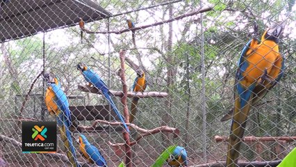 tn7-santuario-de-animales-en-peligro-260420