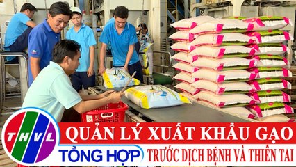 Chuyện hôm nay: Quản lý xuất khẩu gạo trước dịch bệnh và thiên tai