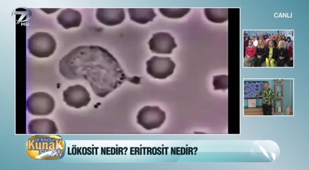 Lökosit nedir? Ne işe yarar?