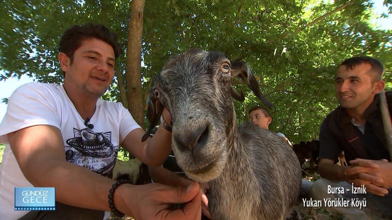 Gündüz Gece - Bursa/İznik - Yukarı Yörükler Köyü