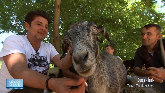Gündüz Gece - Bursa/İznik - Yukarı Yörükler Köyü