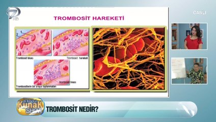 Trombosit nedir? Ne işe yarar?