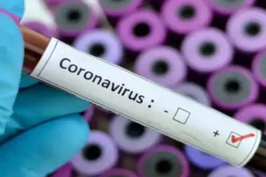 number of coronavirus positive cases in jodhpur reached 370