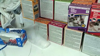 Trying out my pringles cat toy