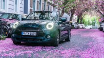 Das neue MINI Cabrio Sidewalk und die Farbenpracht der Kirschblüte