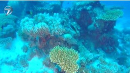 DÜNYAYI GEZİYORUM -  MALDİVLER - 02 EKİM 2016