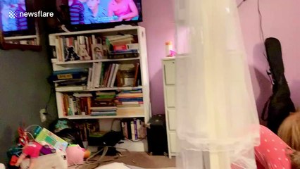 Massachusetts parents entertain kid with miniature horse during quarantine