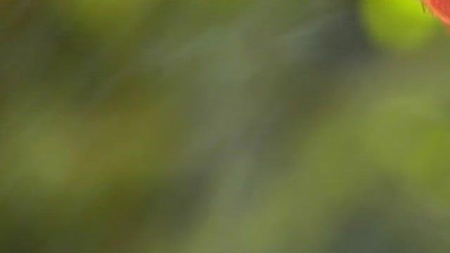 El Coronavirus, en las aguas residuales