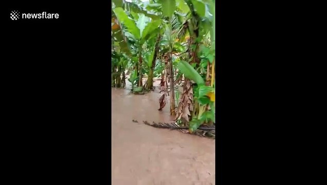 Torrential downpours cause flash floods in Indonesia