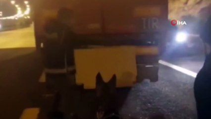 Gişelerde durdurulan tırda 8 bin paket kaçak sigara ele geçirildi