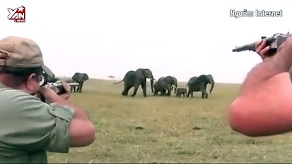 Kinh hoàng bầy voi hoang dã lên cơn cuồng sát khi đồng loại bị thợ săn xử tử