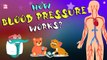 How Blood Pressure Works? | BLOOD PRESSURE | What Is Blood Pressure | Dr Binocs Show | Peekaboo Kidz