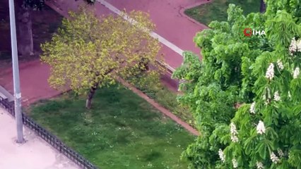Gündüz vakti alkol alan şahıs yoldan geçenlere saldırdı