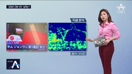 [팩트맨]‘김정은 근황’ 미확인 사진 실체는?