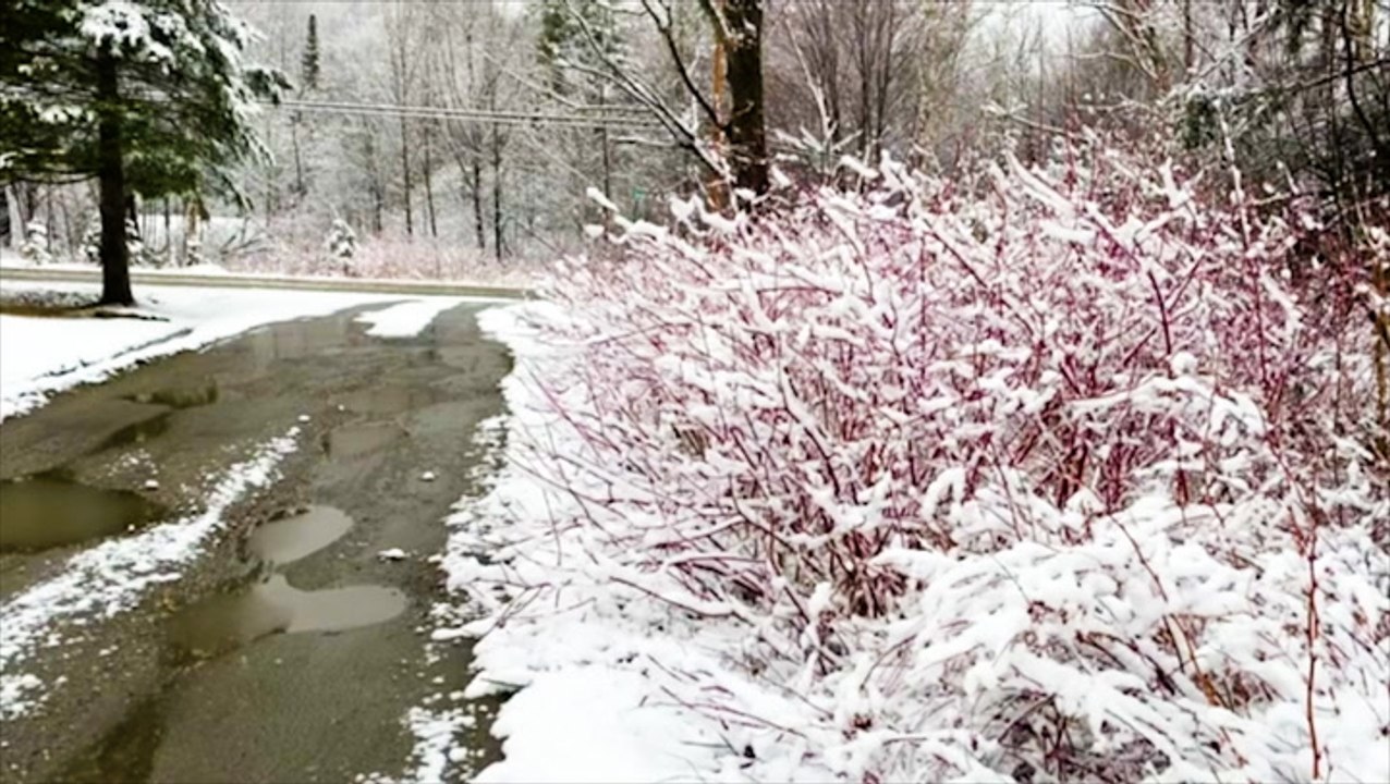 Snow creates a winter wonderland in Vermont