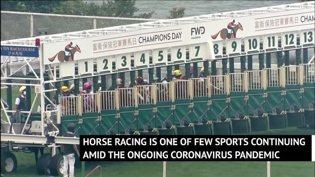 Southern Legend edges out Beauty Generation in Champions Mile thriller