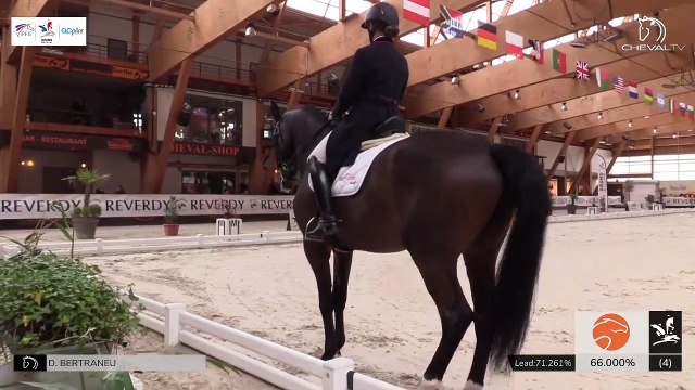 GN2020 | DR_01_LeMans | Pro Elite Grand Prix - Grand National | Delphine BERTRANEU | BACCARA VAN WELTEVREDEN