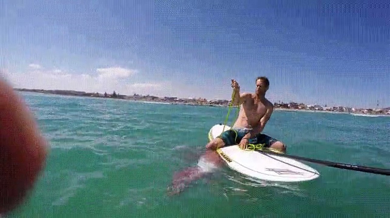 Cet homme a été effrayé par la grosse pieuvre qui s’est agrippée fortement et par surprise à sa planche.