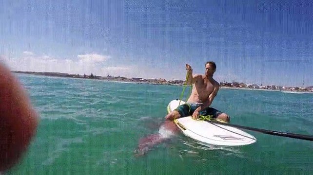 Cet homme a été effrayé par la grosse pieuvre qui s’est agrippée fortement et par surprise à sa planche.