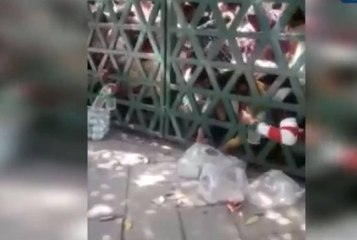 Food pushed from outside gates of Quarantine Centre, Video