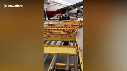 India continues to import medical test kits from China to tackle COVID-19