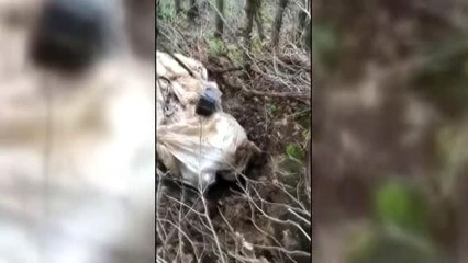 Hakkari'de PKK'lı teröristlere ait silah, mühimmat ve patlayıcı ele geçirildi