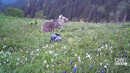 Kaçak avcılıkla mücadele sürüyor