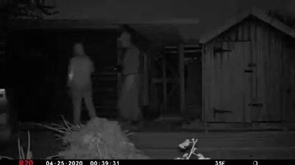 Chickens slaughtered at Doncaster allotment