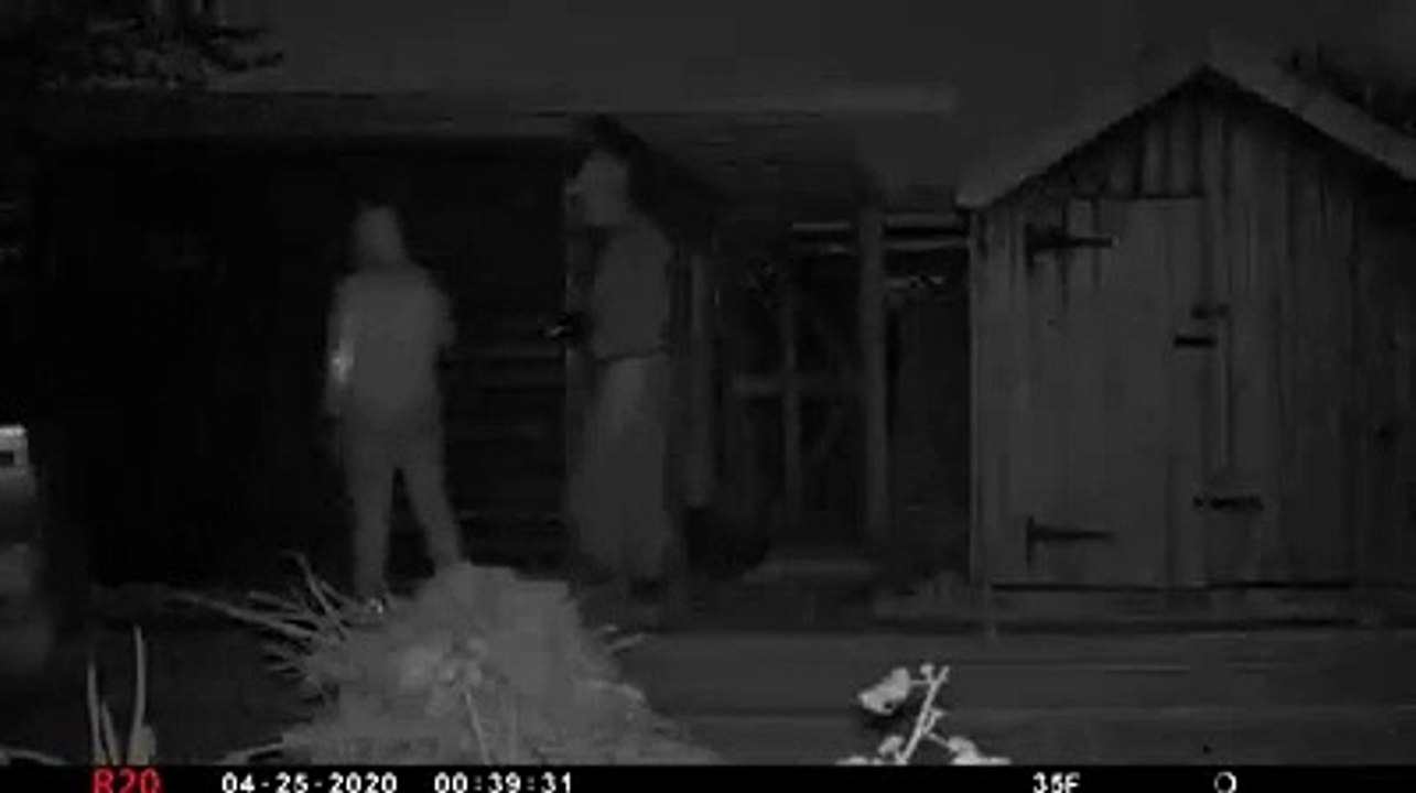 Chickens slaughtered at Doncaster allotment