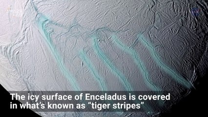 ‘Tiger Stripes’ on Saturn's Moon May Indicate Life Below the Surface