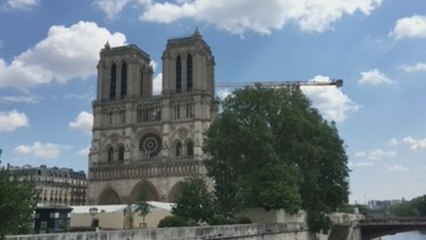 Notre Dame reanuda su reconstrucción con medidas de seguridad por el coronavirus