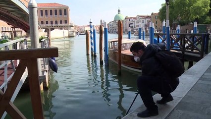 فيروس كورونا يكشف النظام البيئي المتنوع في بحيرة البندقية