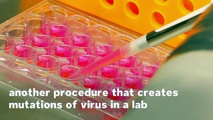 Why The Wuhan Lab Remains A Suspect In the Coronavirus Investigation
