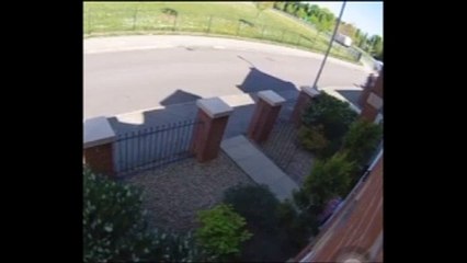 Package containing birthday flowers stolen from front garden