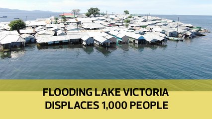 Flooding Lake Victoria displaces 1,000 people