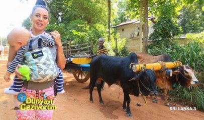 DÜNYAYI GEZİYORUM - SRİ LANKA/3 - 15 ŞUBAT 2015