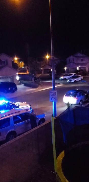 Hero Police K9 Suppresses Car Thief
