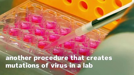 Why The Wuhan Lab Remains A Suspect In the Coronavirus Investigation