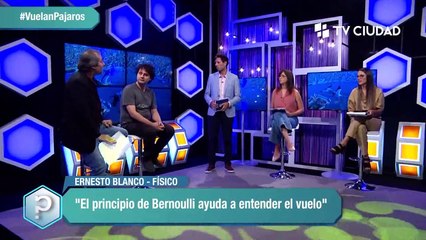 Vuelan Pájaros
