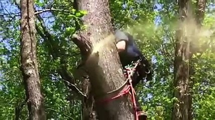 Environmental threats to Himalayan region A documentary