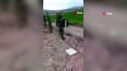 Başkent’te çok sayıda ölü köpek yavrusu bulundu