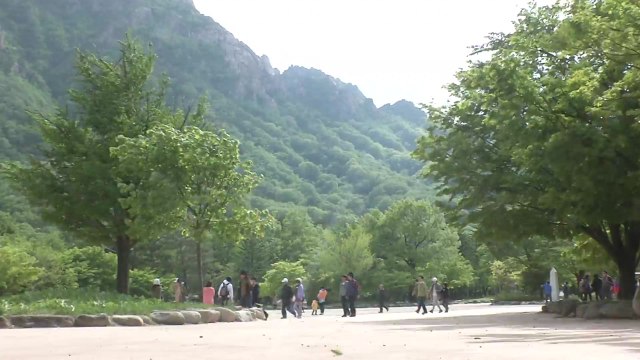 [날씨] 건조특보 속 강풍...영동 산불 비상 / YTN