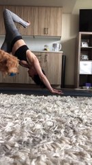 Doggo Gives Yoga a Try