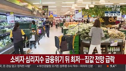소비자 심리지수 금융위기 뒤 최저…집값 전망 급락