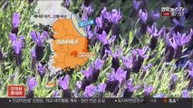 [날씨] 전국 완연한 봄…건조한 날씨 속 강풍 화재 유의